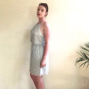 EnFocus Studio Silver Mini Dress